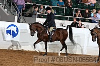 08usn-06564 proof