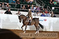 08usn-06566 proof