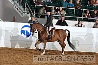 08usn-06567 proof