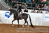 08usn-06568 proof