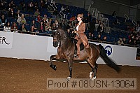 08usn-13064 proof