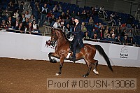 08usn-13066 proof