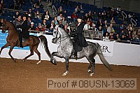 08usn-13069 proof