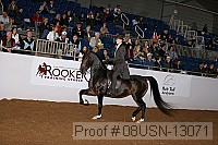 08usn-13071 proof