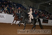 08usn-13072 proof