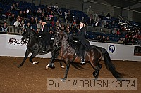08usn-13074 proof