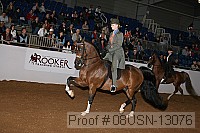 08usn-13076 proof