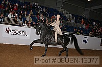 08usn-13077 proof