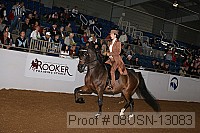 08usn-13083 proof