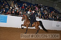 08usn-13084 proof