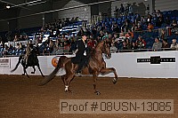 08usn-13085 proof