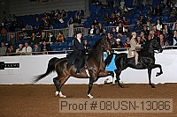 08usn-13086 proof