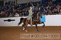 08usn-13089 proof