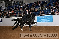 08usn-13090 proof