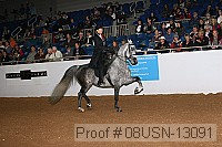 08usn-13091 proof