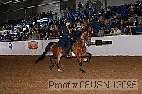 08usn-13095 proof