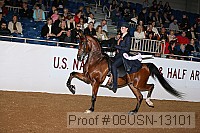08usn-13101 proof