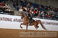 08usn-13102 proof