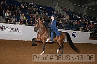 08usn-13106 proof