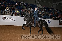 08usn-13107 proof