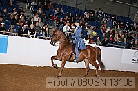 08usn-13108 proof