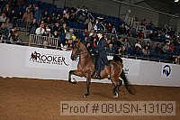 08usn-13109 proof