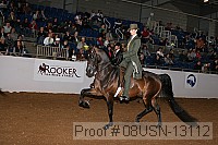 08usn-13112 proof