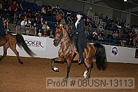 08usn-13113 proof