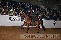 08usn-13116 proof