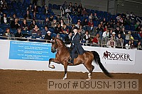08usn-13118 proof