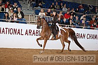 08usn-13122 proof