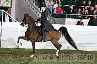 08usn-16616 proof