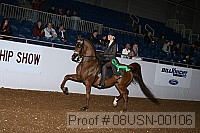 08usn-00106 proof