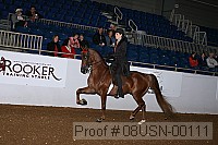 08usn-00111 proof