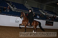 08usn-00117 proof