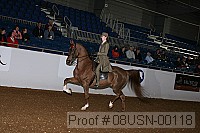 08usn-00118 proof