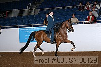 08usn-00129 proof