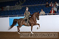 08usn-00130 proof