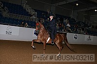 08usn-03216 proof