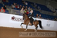 08usn-03218 proof