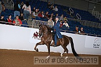 08usn-03219 proof