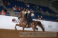 08usn-03221 proof