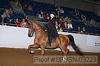 08usn-03223 proof