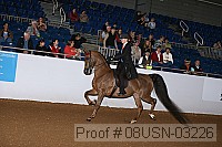 08usn-03226 proof