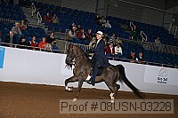 08usn-03228 proof