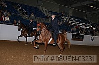 08usn-03231 proof