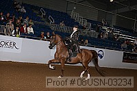 08usn-03234 proof