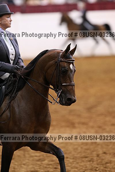 Proof 08usn-03236