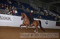 08usn-03239 proof