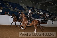 08usn-03247 proof